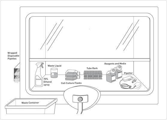 Cell Culture Hood Working Area Layout diagram depicting the layout of culturing materials within a cell culture hood for a right-handed worker