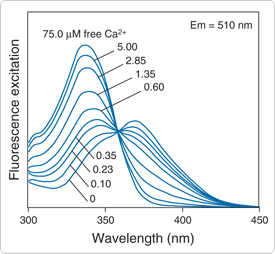 calcium-uv-light.par.21999.image.275.254.1.s001557-excitation-spectra-fura-4f-gif calcium-uv-light.par.21999.image.275.254.1.s001557-excitation-spectra-fura-4f-gif
