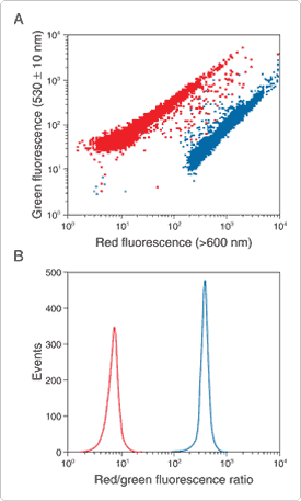 slow-response-probes.par.0487.image.275.457.1.s000933-red-green-fluorescence-gif slow-response-probes.par.0487.image.275.457.1.s000933-red-green-fluorescence-gif