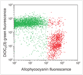 slow-response-probes.par.45519.image.275.246.1.s002431-flow-cytometric-jurkat-gif slow-response-probes.par.45519.image.275.246.1.s002431-flow-cytometric-jurkat-gif
