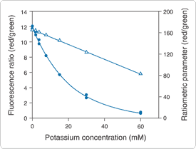 slow-response-probes.par.81539.image.275.209.1.s002297-staphylococcus-gif slow-response-probes.par.81539.image.275.209.1.s002297-staphylococcus-gif