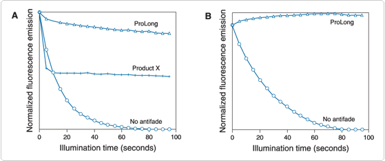 fluorescence-microscopy.par.85927.image.559.234.1.s000334-red-dye-conjugates-gif fluorescence-microscopy.par.85927.image.559.234.1.s000334-red-dye-conjugates-gif