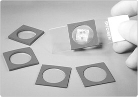 fluorescence-microscopy.par.86853.image.275.194.1.s000860-chamber-gaskets-gif fluorescence-microscopy.par.86853.image.275.194.1.s000860-chamber-gaskets-gif