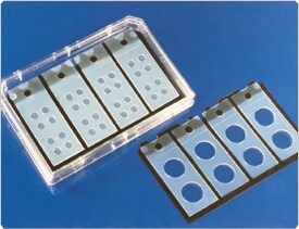 fluorescence-microscopy.par.56410.image.275.211.1.s001445-culturewell-gif fluorescence-microscopy.par.56410.image.275.211.1.s001445-culturewell-gif