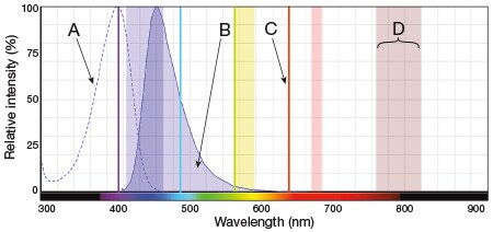 Overview of Molecular Probes SpectraViewer components Overview of Molecular Probes SpectraViewer components