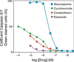 cancer-attune-fig1 cancer-attune-fig1