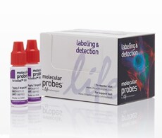 ActinRed™ 555 ReadyProbes® Reagent Image of ActinRed™ 555 ReadyProbes® Reagent packaging