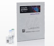 HCS CellMask™ Stains Image of HCS CellMask™ Stains packaging