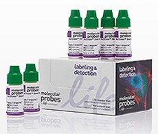 NucGreen® Dead 488 ReadyProbes® ReagentMolecular Probes product image of Molecular Probes® NucGreen® Dead 488 ReadyProbes® Reagent
