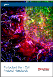 Pluripotent Stem Cell Protocol Handbook Pluripotent Stem Cell Protocol Handbook cover