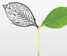 webinars-plantScience-r2-230x195 webinars-plantScience-r2-230x195