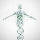 人类蛋白质组草图 人类蛋白质组草图