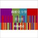 磷酸化组分型 磷酸化组分型