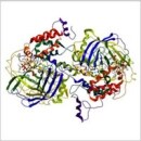 治疗靶标发现 治疗靶标发现
