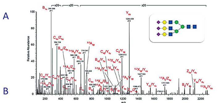 analysis-and-quality-yezhilianyong-1 analysis-and-quality-yezhilianyong-1