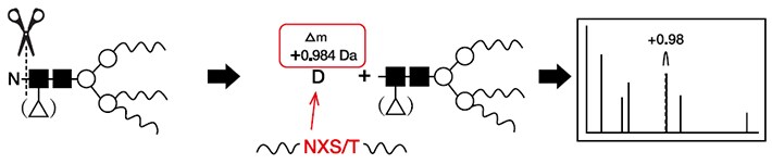 analysis-and-quality-guatangjiexi-3 analysis-and-quality-guatangjiexi-3