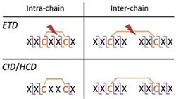 analysis-and-quality-erliujian-2 analysis-and-quality-erliujian-2