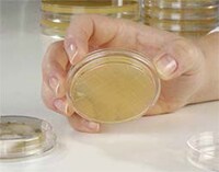 analysis-and-quality-huanjingjiance-2 analysis-and-quality-huanjingjiance-2