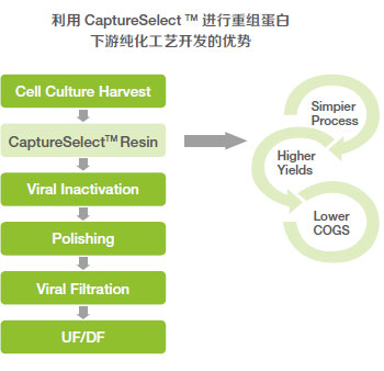 bioproduction-61 bioproduction-61