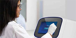 research-Western-Invitrogen-iBright research-Western-Invitrogen-iBright