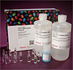 research-ion-5 research-ion-5