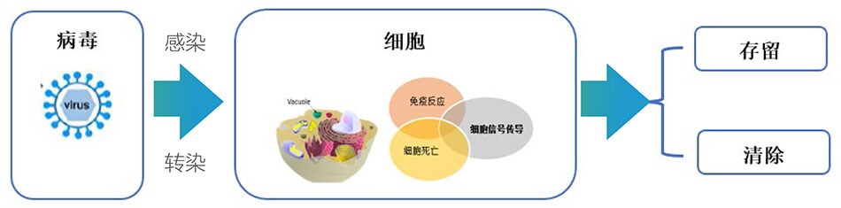 acadmic-molecular-mechanism acadmic-molecular-mechanism