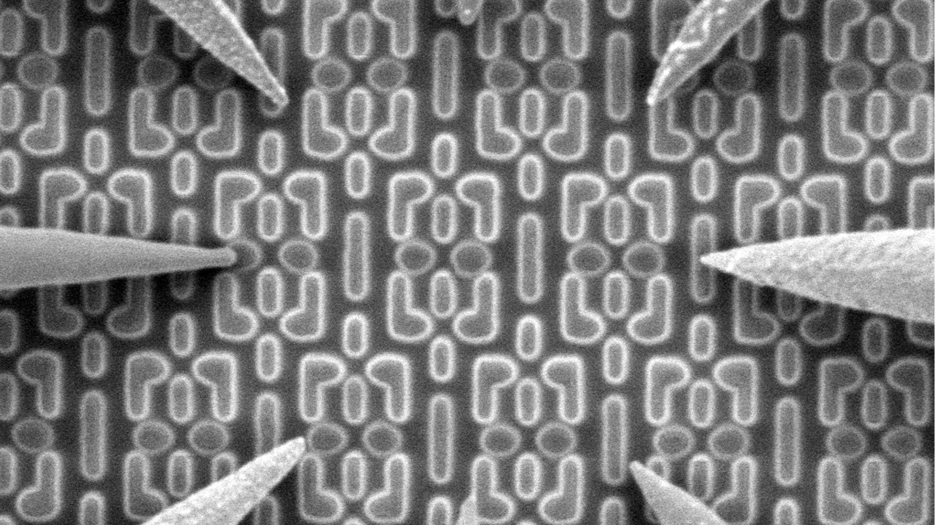 Scanning Electron Microscope | Apreo 2 SEM | Thermo Fisher Scientific - CN