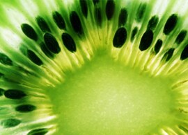 Food Microbiology Testing Food Microbiology Testing