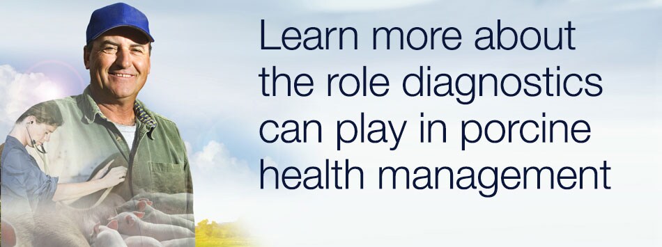 ipvs2016_landing_page_header-graphic_post-event ipvs2016_landing_page_header-graphic_post-event