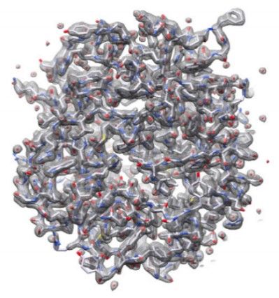 Proteinase K structure. MicroED data provided by the Gonen Laboratory HHMI/UCLA. Proteinase K structure. MicroED data provided by the Gonen Laboratory HHMI/UCLA.