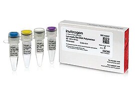 Lyo-ready Bst DNA Polymerase Lyo-ready Bst DNA Polymerase