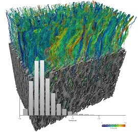 TN-AvizoSoftwareBattery TN-AvizoSoftwareBattery