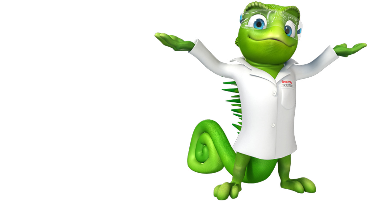 Ask the Expert Banner Text Ask the Expert Banner Text