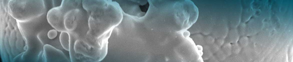 Thermo Fisher Scientific at Control 2019 Thermo Fisher Scientific at Control 2019