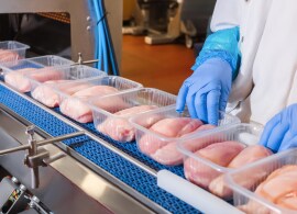 Salmonella control you can count on Salmonella control you can count on