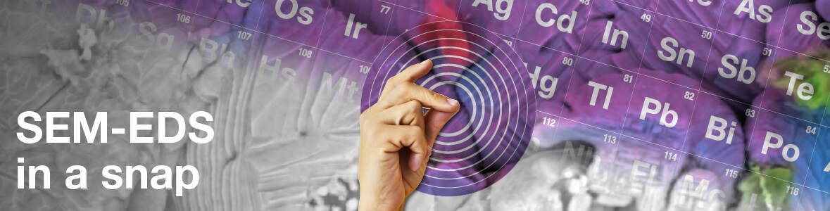 Webinar: Meet our newest SEM Webinar: Meet our newest SEM