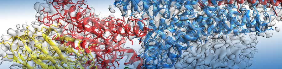 Cryo-EM in Drug Discovery Scientific Symposium Cryo-EM in Drug Discovery Scientific Symposium