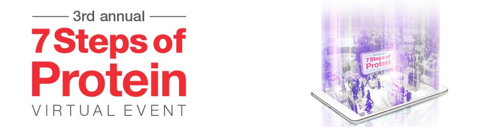 7 Steps of Protein 7 Steps of Protein