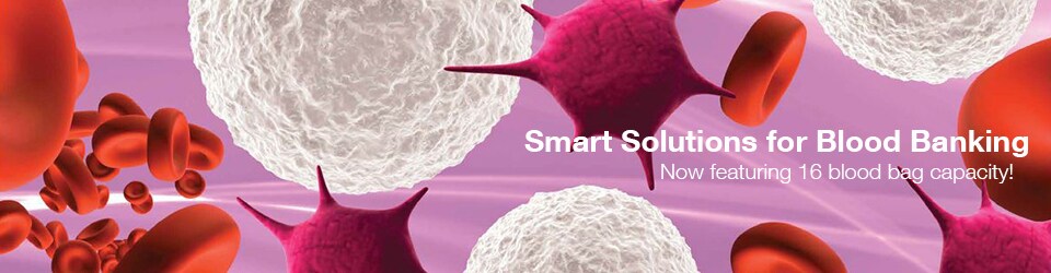 ISBT Smart Solutions 2016 ISBT Smart Solutions 2016