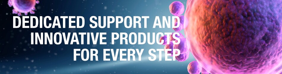 ISSCR 2024 Annual Meeting ISSCR 2024 Annual Meeting