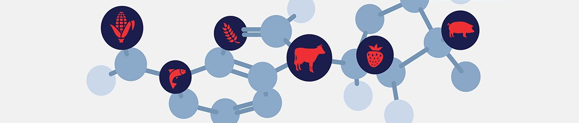 wcgalp-2018 wcgalp-2018