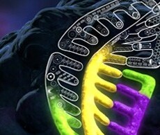 Customized CRISPR-Cas9 systems Artistic rendition of engineered CRISPR-Cas9 complex interacting with its target gene sequence