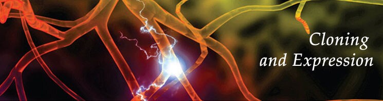 OEM Cloning OEM Cloning