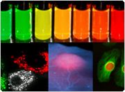 showcase.Par.40481.Image.0.0.1 showcase.Par.40481.Image.0.0.1