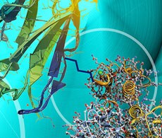 Bioconjugation services Reagents for crosslinking, immobilization, modification, biotinylation, and fluorescent labeling of proteins and peptides