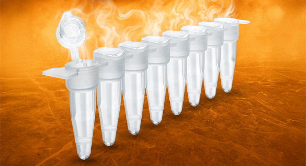 Lyophilized enzymes Tubes containing lyophilized product