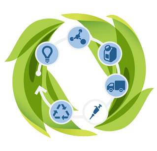 Sustainable process Diagram of different stages for sustainable offerings