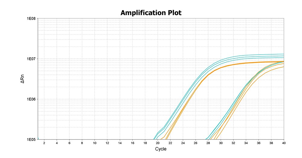 Reaction graph of Dry-Ready Excipient Mix Reaction graph showing the stability of samples using the Dry-Ready Excipient Kit