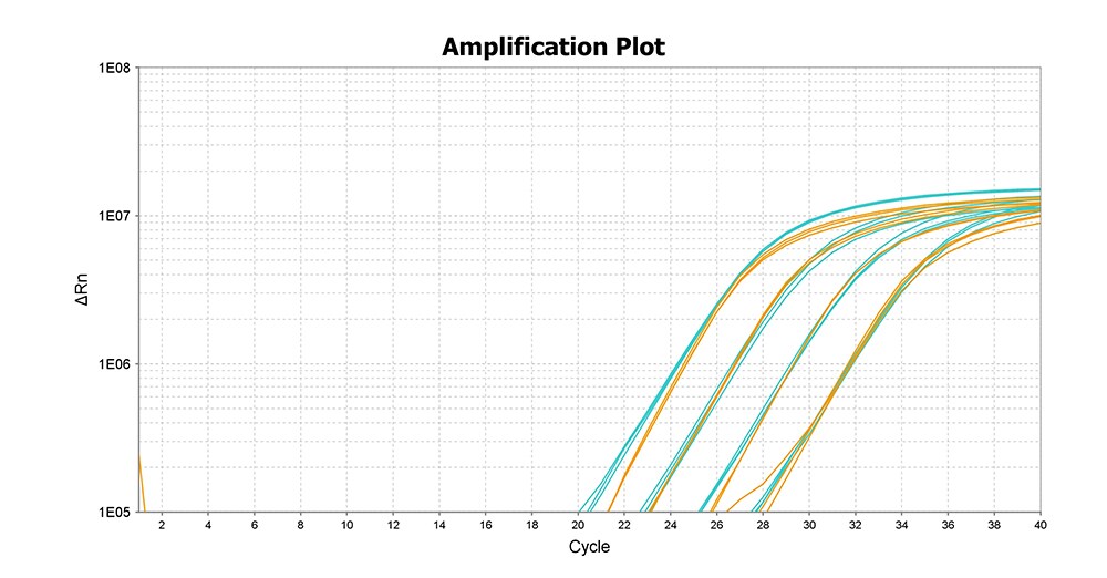 Reaction graph of Dry-Ready RT-qPCR Kit Reaction graph showing the stability of samples using the Dry-Ready Kit
