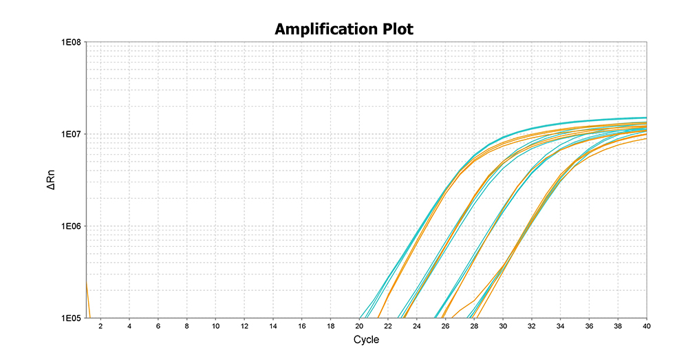Reaction graph of Dry-Ready RT-qPCR Kit Reaction graph showing the stability of samples using the Dry-Ready Kit